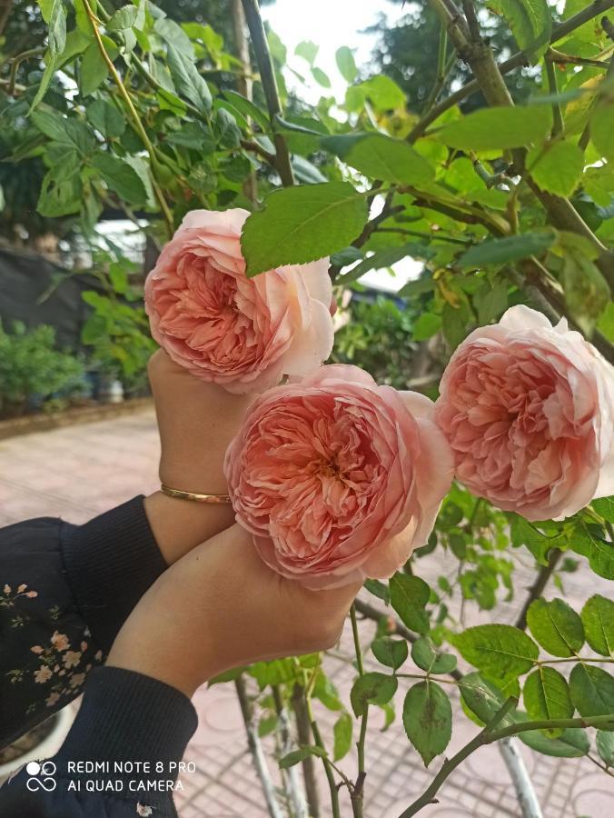 Aku House Villa Ao Vua بافي المظهر الخارجي الصورة